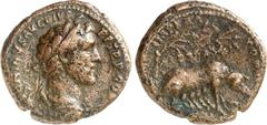 RÖMER RÖMISCHES KAISERREICH. ANTONINUS PIUS Augustus 138-161. AE-As (140/144) 10,60g. Kopf m. Lkr. n.r. ANTONINVS AVG - PIVS P P TR P COS [III] / IMPERATOR II - S C Sau säugt Frischlinge unter Ficus R