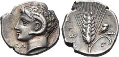 Collection Sans Pareille: Highly Important Collection of Greek Fractions LUCANIA. Metapontum. 325-275 BC. Diobol (Silver, 12.5 mm, 1.28 g, 3 h), Sa.... Head of Apollo Karneios to left, ram's horn arou