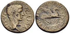 Roman Provincial CORINTHIA. Corinth. Gaius (Caligula), 37-41. (Bronze, 20.5 mm, 6.95 g, 3 h). C CAESAR AVGVS Bare head of Caligula to right. Rev. P VIPSANIO AGRIPPA IIVIR / COR Pegasus flying to right