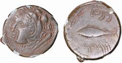 Ibero-Roman Coins Ibero-Roman - Gades - Semisse; 100-20 BC; Cádiz; punic legend type-B; Burgos 1345; 4.09g; Very Fine.