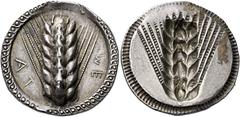 Greek Coins Lucania, Metapontum Nomos circa 540-520, AR 30 mm, 8.19 g. ME – TA retrograde Ear of barley. Raised and braided dotted border. Rev. Same type incuse. Notched border. Gorini 9, obverse enla
