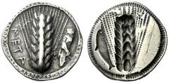 The M.L. Collection of Coins of Magna Graecia and Sicily Metapontum Nomos circa 530-500, AR 7.85 g. META Ear of barley; in r. field, grasshopper. Rev. The same type incuse; on l., dolphin upright incu
