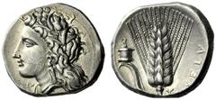 The M.L. Collection of Coins of Magna Graecia and Sicily Metapontum Nomos circa 330-290, AR 7.91 g. Head of Demeter l., wearing barley wreath; below chin, ΔEX retrograde. Rev. META Ear of barley with 