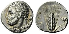 The M.L. Collection of Coins of Magna Graecia and Sicily Metapontum Nomos circa 290-280, AR 7.91 g. Bearded head of Heracles l., wearing taenia and lion’s skin; club on r. shoulder. Rev. META Ear of b
