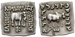 The J. FALM Collection: Miniature Masterpieces of Greek Coinage depicting Animals Apollodotus I circa 180-160 Drachm, Panjhir circa 180-160, AR 2.45 g. BAΣIΛEΩΣ AΠOΛΛOΔOTOΥ ΣΩTEΡOΣ Indian elephant adv