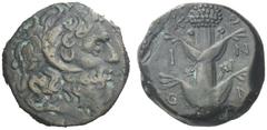 Greek Coins Cyrene Bronze, Koinon issue circa 250, Æ 13.82 g. Diademed of Zeus Ammon r. Rev. K – O / I – N / O – N Silphium plant with four leaves. BMC 2. SNG Copenhagen 1276. Rare. Brown tone and abo
