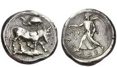 Greek Coins Sicily, Catana Tetradrachm circa 464-450, AR 17.17 g. The river-god Amenanos as bearded, man-headed bull r., r. leg bent at knee; above, stork and below, fish r. Rev. Nike, wearing long ch