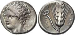 Greek Coins Lucania, Metapontum. Nomos circa 340-330, AR 7.76 g. Laureate head of Apollo, facing three-quarters l.; behind the neck, KAΛ. Rev. ΦΙΛΟΞ Ear of barley with leaf on l., on which coiled snak