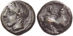 Greek Coins Piakos. Onkia circa 410-400, Æ 1.00 g. Laureate head of young river-god l. Rev. Dog crouching r.; above, oak branch with acorn. Calciati 3 (this coin). Campana 3 (this coin). Extremely rar