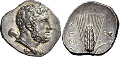 Greek coins Metapontum. Nomos circa 290-280, AR 7.89 g. Diademed head of Heracles r., lion's skin tied around neck and club over l. shoulder. Rev. META Ear of barley with leaf to r., on which kantharo
