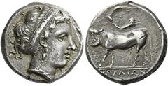 The Collection of Greek coins of a Man in Love with Art Part III Nola. Didrachm circa 400-385, AR 7.25 g. Diademed head of nymph r., wearing earring and necklace. Rev. Man-headed bull advancing l., cr