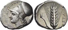 Greek Coins. Metapontum. Nomos circa 340-330, AR 7.67 g. Male head l., wearing Corinthian helmet; in l. field, ΘAPPAΓOPAΣ and in r. field, K. Rev. META Ear of barley with leaf to l. upon which is an u