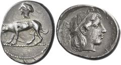Greek Coins. Segesta. Didrachm circa 475-450, AR 8.46 g. Hound standing l., lowering head to ground; above, head of nymph l. Rev. ΣAΓEΣTAZIB Head of Aigeste r., hair bound with ribbon. Rizzo pl. 61, 1
