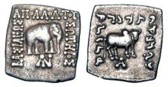 Eastern Greek Coins BAKTRIAN KINGDOM. Apollodotos I, 160-150 BC. AR Square Drachm (2.38 gm). Elephant standing / Humped bull standing SNG.ANS.310. Toned VF+. ex Sellwood collection.