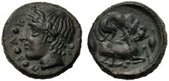 Sicily, Tetras, Piakos, c. 425-400 BC, AE (g 2,24 mm 13 h 12), ΠIAK, laureate head of river god l. at l., three pellets, Rv. Hound attacking stag r. at sides, two grains. CNS III, n. 2 SNG Copenhagen 