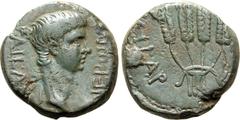 Roman Provincial Nero Æ 14mm of Tralleis, Lydia. Circa AD 60. NEPѠN KAICAP, bare head to right / [K]AICAP[EѠN], bundle of four ears of coins. RPC I 2657; BMC 125; SNG Copenhagen 692; GRPC Lydia 159. 3