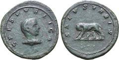 Roman Imperial Valerian II (or Saloninus), as Caesar, Æ Medallion. Rome or Viminacium, AD 256-260. SPES PVBLICA, draped bust to right / SALVS VRBIS, she-wolf standing to left, head reverted, suckling 