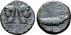 Roman Provincial Augustus and Agrippa Æ As of Nemausus, Gaul. AD 10-14. Head of Agrippa to left, wearing rostral crown combined with laureate crown, back to back with laureate head of Augustus to righ