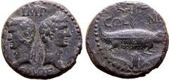 ROMAN PROVINCIAL Augustus and Agrippa Æ As of Nemausus, Gaul. Circa 10 BC-AD 10. Back to back laureate and rostral crowned head of Agrippa to left and head of Augustus to right, wearing oak wreath; IM