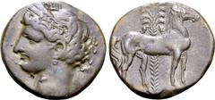 Greek North Africa, Carthage BI Tridrachm. Second Punic War, circa 210-205 BC. Head of Tanit to left, wearing wreath of corn ears / Horse standing to right, palm tree behind. CNP 184; SNG Copenhagen 1