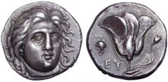 Islands off Karia, Rhodos. Rhodos AR Didrachm. Circa 304-275 BC. Head of Helios facing slightly right / Rose with bud to right, ΡOΔION above, grape cluster and EY to left. Ashton, Rhodian Series 2, pl