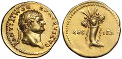 Domitian, as Caesar, AV Aureus. Rome, AD 76-7. CAESAR AVG F DOMITIANVS, Laureate head right / COS IIII, legend across fields, cornucopiae with ribbons hanging down each side. RIC 918; Calico 817. 7.29