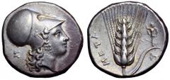 Lucania, Metapontum AR Stater. Lucania, Metapontum AR Stater. Circa 340-330 BC. Head of ‘Tharragoras’ right, wearing Corinthian helmet, Σ behind / Ear of barley with stalk and leaf to right upon which
