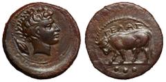 Sicily, Gela Æ Tetras. Circa 420-405 BC. Bull standing l.; three pellets in exergue / Head of river-god Gelas r.; grain-ear behind. CNS III, p. 8, 7; SNG ANS 106. 3.74g, 18mm, 3h. Fine classical style