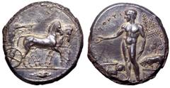 Sicily, Selinos AR Tetradrachm. Circa 455-415 BC. Artemis driving slow quadriga right, holding reins in both hands, Apollo standing on her right, discharging an arrow; barley grain in exergue / River-