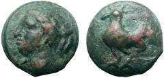 Northern Apulia, Luceria Æ Nummus. Circa 225-217 BC. Head of Apollo left; in left field, – . / Cock standing left. HN Italy 669; ICC 336; Haeberlin p. 1-36 pls. 64, 6-10 and pl. 65, 1. 209.40g, 49mm, 