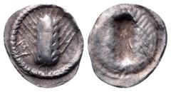 Lucania, Metapontion AR Hemiobol. Circa 530-510 BC. Ear of barley; ME to left; Incuse ear of barley. SNG ANS -; Noe -; cf. Künker 97, 113 (var.: legend; corr.: hemiobol). 0.23g, 10mm, 12h. Very Fine. 