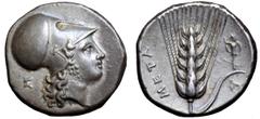 Greek Lucania, Metapontion AR Stater. Circa 340-330 BC. Head of Athena Tharragoras right, wearing Corinthian helmet; Σ behind / Ear of barley with stalk and leaf to right upon which, trophy; Π below, 