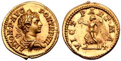 Roman Imperial Caracalla AV Aureus. Rome, AD 204. ANTON P AVG PON TR P VII, laureate, draped and cuirassed bust right / VICT PART MAX, Victory advancing left, holding wreath and palm. RIC 78 (this coi