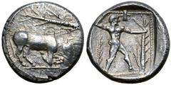 Greek Cyprus, Golgoi(?) AR Stater. Circa 460-430 BC. Bull kneeling to right on ground line; bare fir-tree trunk above / Nude male figure (Herakles?) standing to right, holding tree in left hand, and r