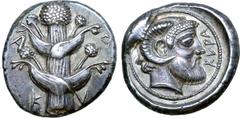 Greek Kyrenaika, Kyrene AR Tetradrachm. Circa 480-460 BC. Silphium plant with two pairs of leaves and five umbels; K-Y-P-A around / Head of Zeus Ammon to right; KYPA before; all within circular border