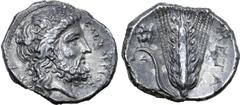 Greek Lucania, Metapontion AR Stater. Circa 340-330 BC. Laureate head of Zeus right, ΕΛΕΥΘΕΡΙΟΣ before, Δ behind / Ear of barley with leaf to left, upon which Silenos crouches; META to right, ΔA below