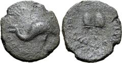 Greek Sicily, Tyndaris Æ 23mm. Circa 44-36 BC or later. Uncertain duovir. Pilei of the Dioskouroi surmounted by stars; illegible inscription around / Dolphin to right; [...]E(?)D[...]A(?)•P[...] aroun