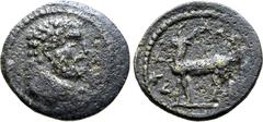 Greek Lydia, Attalea Æ 16mm. Pseudo-autonomous issue, 2nd-3rd centuries AD. Head of Heracles to right, wearing lion skin / Stag to left; ATTAΛЄATΩN around. RPC Online -; GPRC Lydia -. 2.17g, 16mm, 6h.